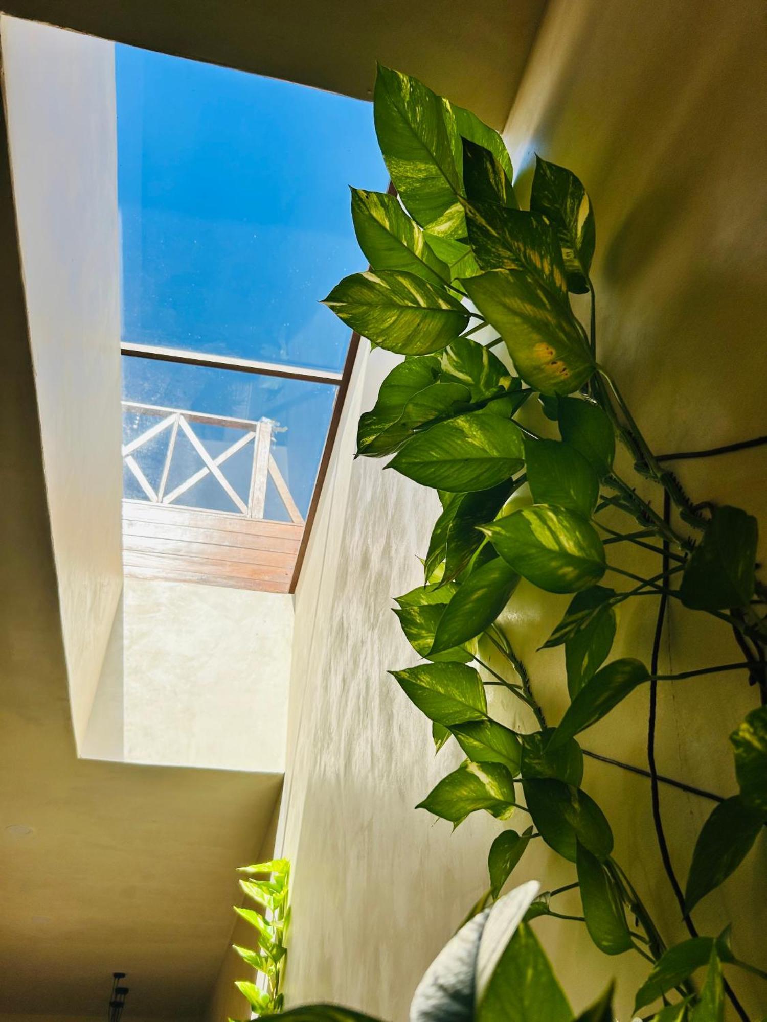 Sunsteps Casa Holbox Ilha Holbox Exterior foto